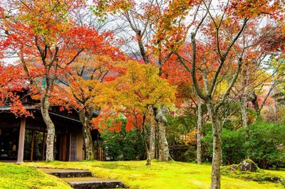 🏞️ 흰 구름의 연못 (시라쿠모노이케) 이미지 2